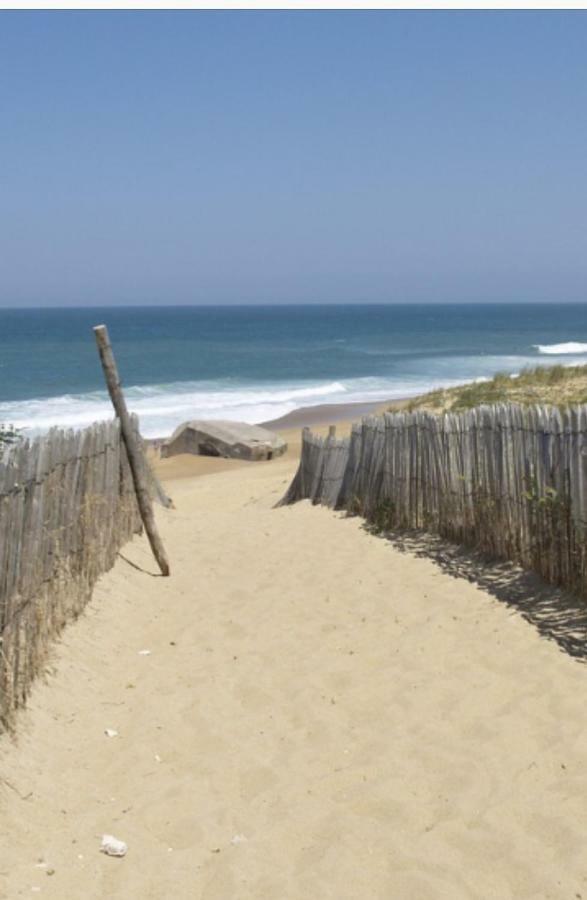 Studio Cabine Vue Mer Et Port Carnon-Plage Zewnętrze zdjęcie